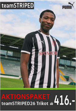 Puma Team Striped Trikotpaket