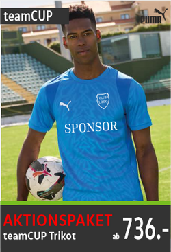Puma Team Cup Trikots