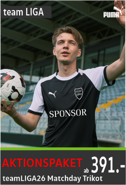 Puma Team Goal Matchday Trikots